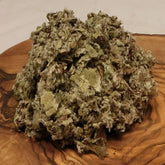 Coltsfoot